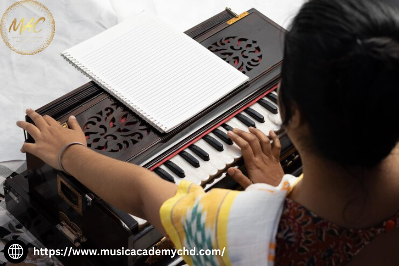 Harmonium classes in chandigarh